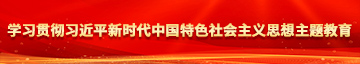 全国最大的操逼网站学习贯彻习近平新时代中国特色社会主义思想主题教育