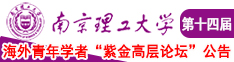 骚笔网址南京理工大学第十四届海外青年学者紫金论坛诚邀海内外英才！